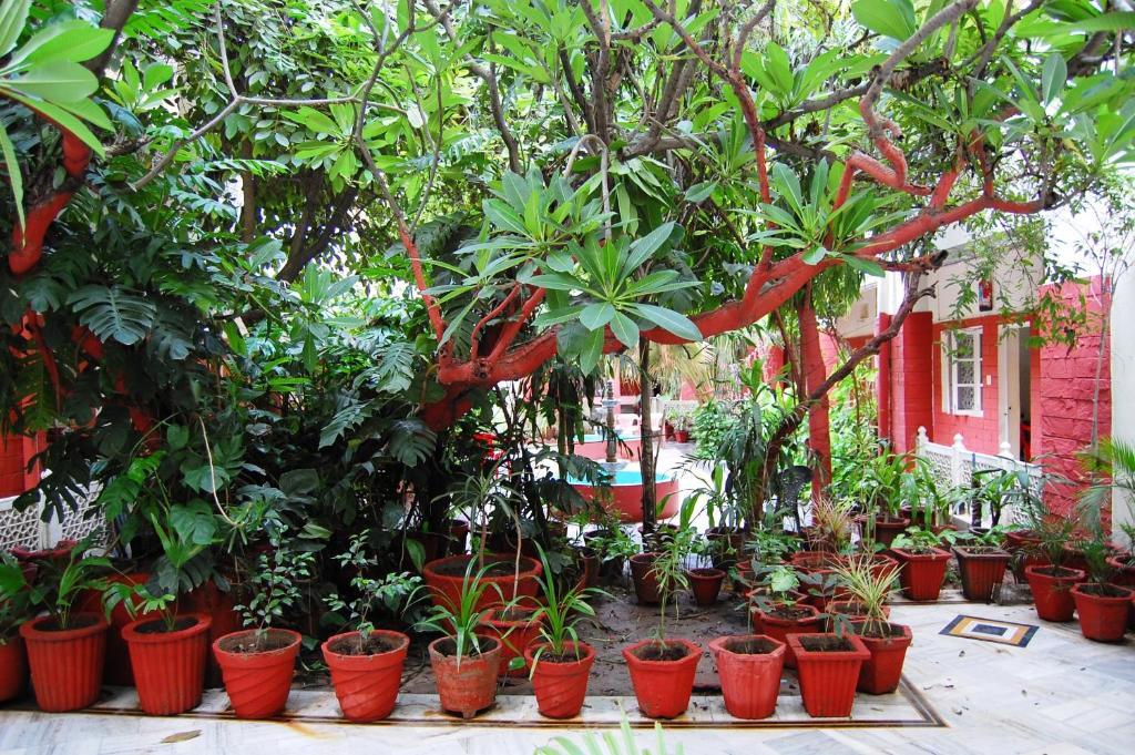 Hotel Tourist Rest House Agra Экстерьер фото